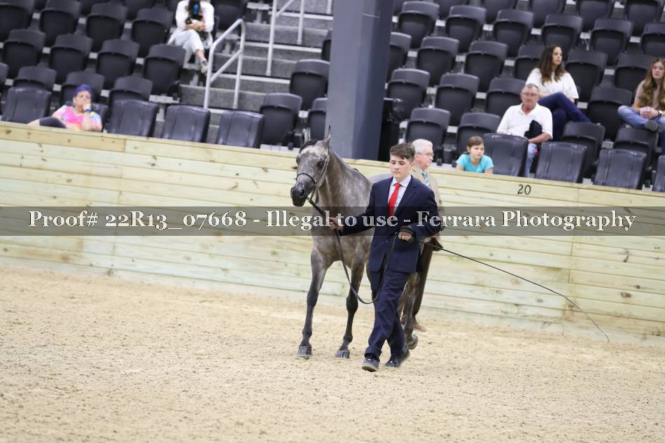 Proof 22R13_07668