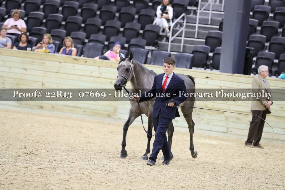 Proof 22R13_07669