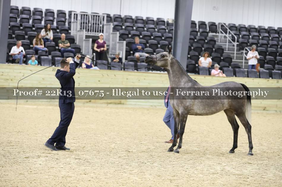 Proof 22R13_07675