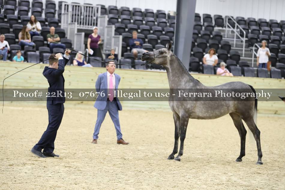 Proof 22R13_07676