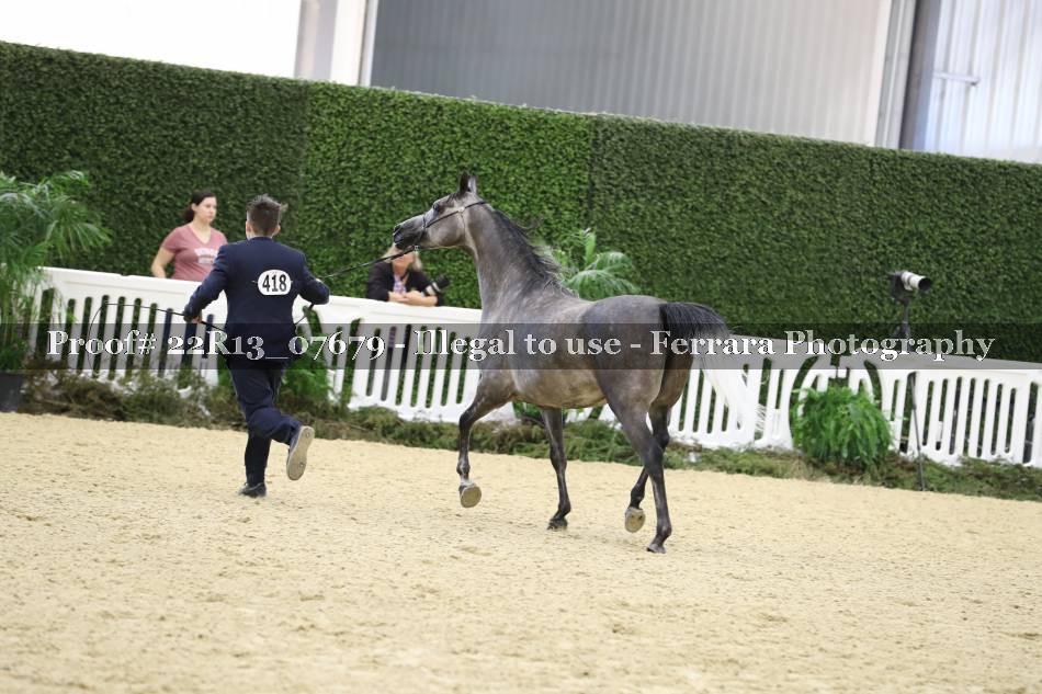 Proof 22R13_07679