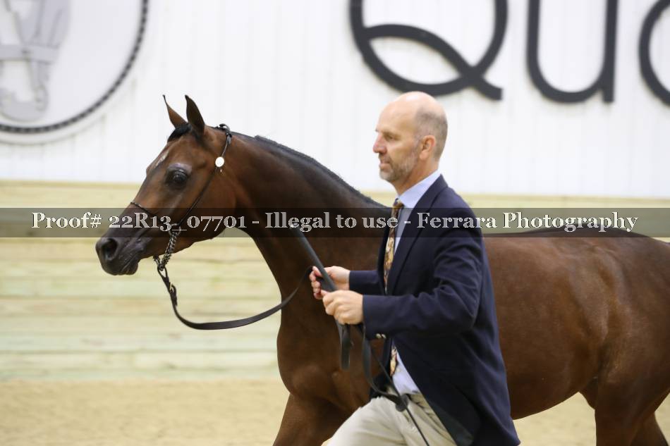 Proof 22R13_07701