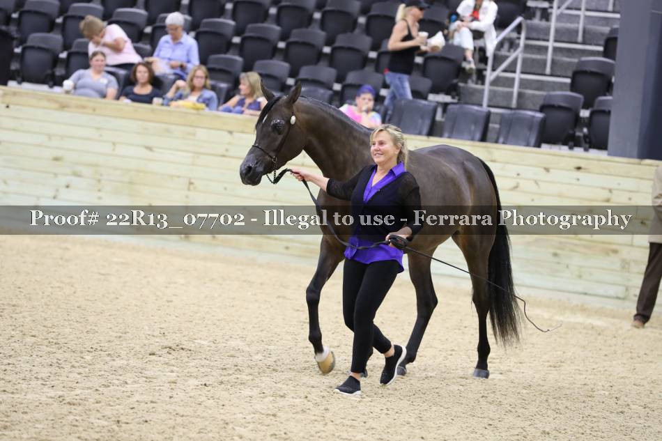 Proof 22R13_07702