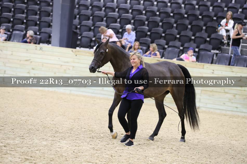 Proof 22R13_07703