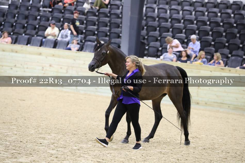 Proof 22R13_07704