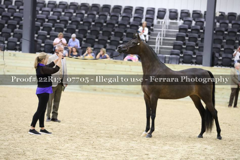 Proof 22R13_07705