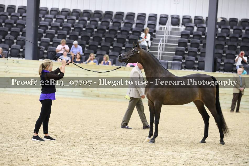 Proof 22R13_07707