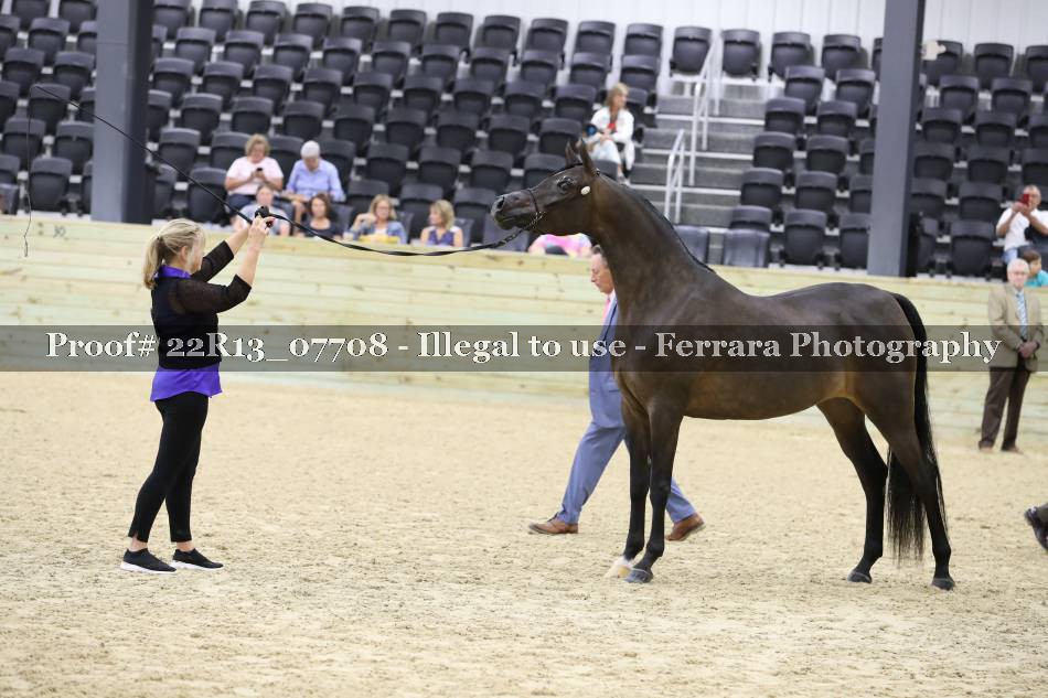 Proof 22R13_07708