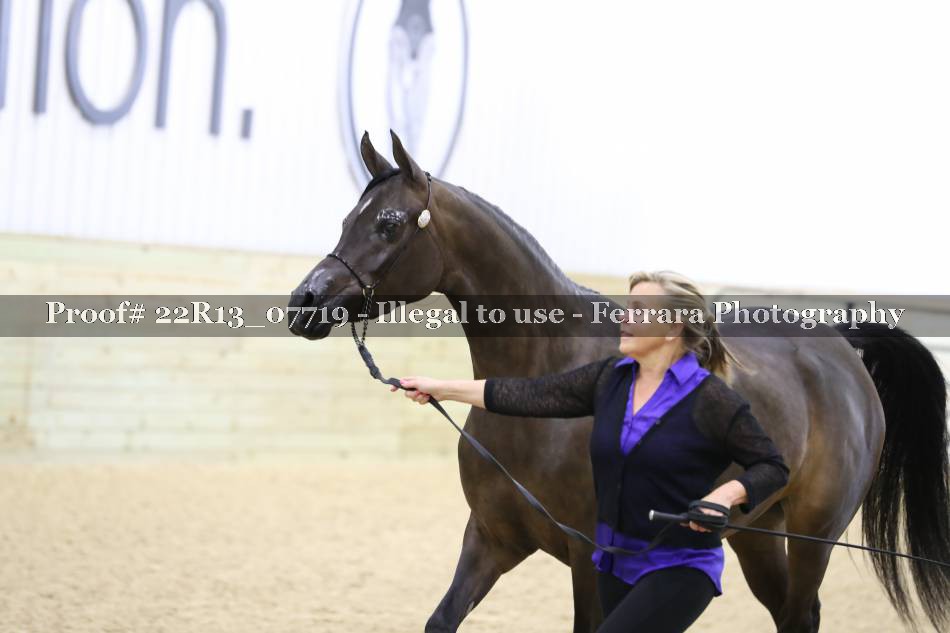 Proof 22R13_07719