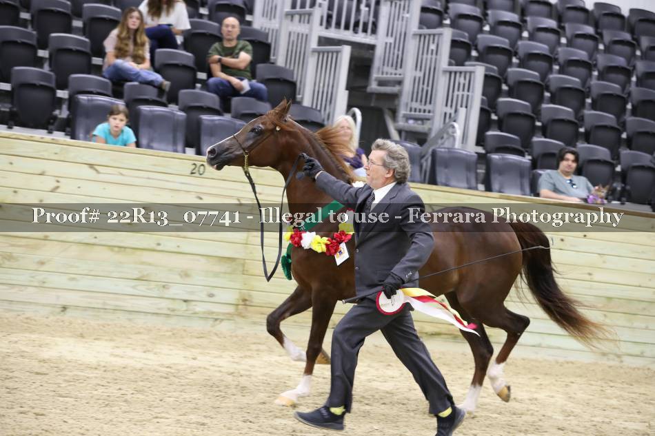 Proof 22R13_07741
