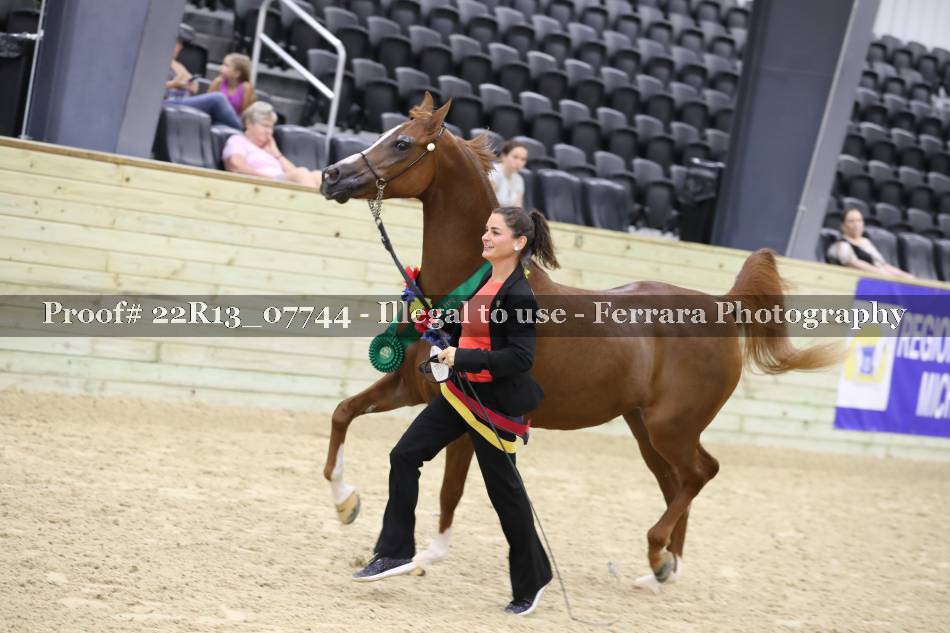 Proof 22R13_07744