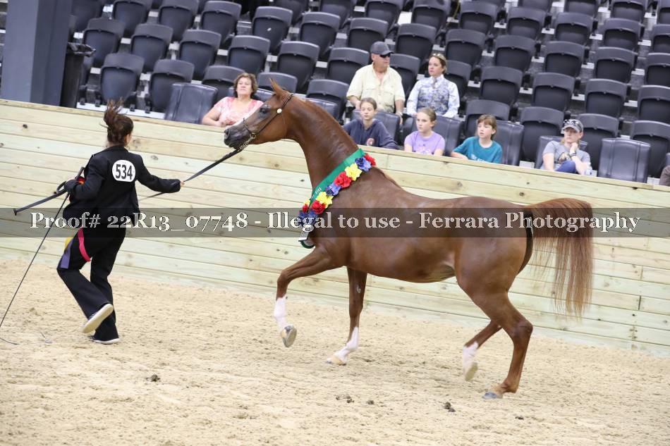 Proof 22R13_07748