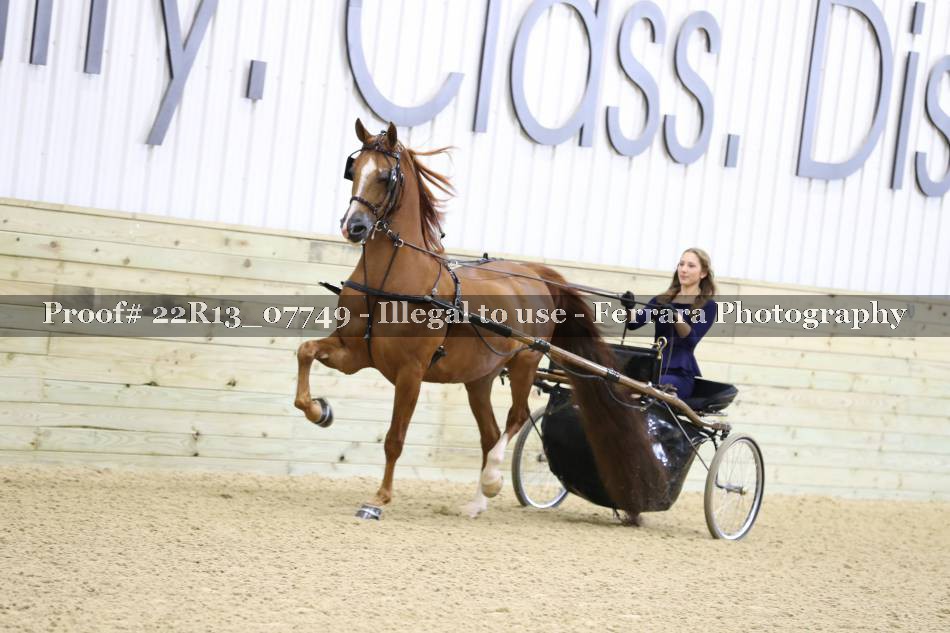 Proof 22R13_07749