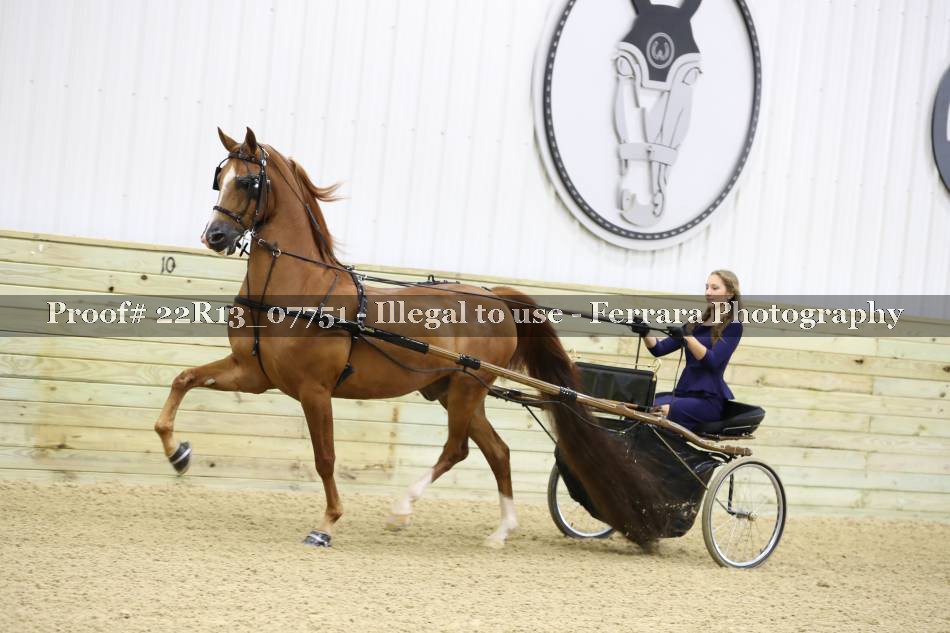 Proof 22R13_07751