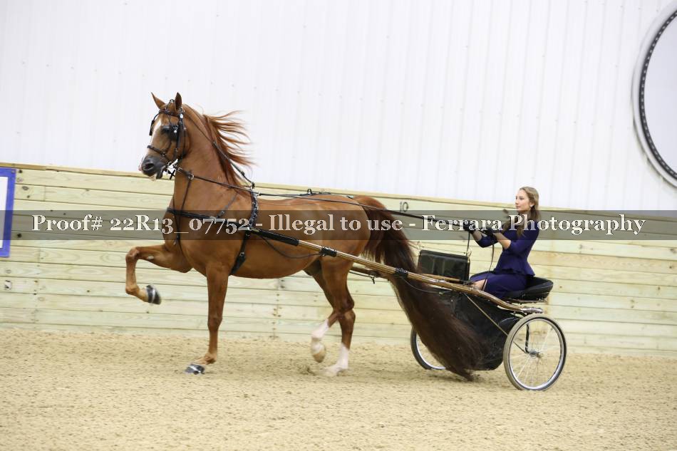 Proof 22R13_07752