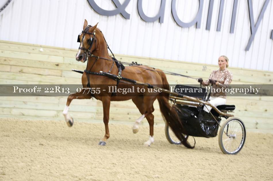 Proof 22R13_07755