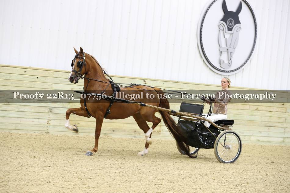 Proof 22R13_07756