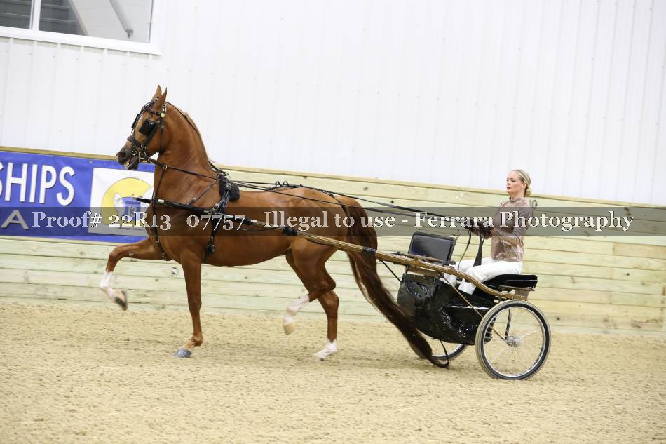 Proof 22R13_07757
