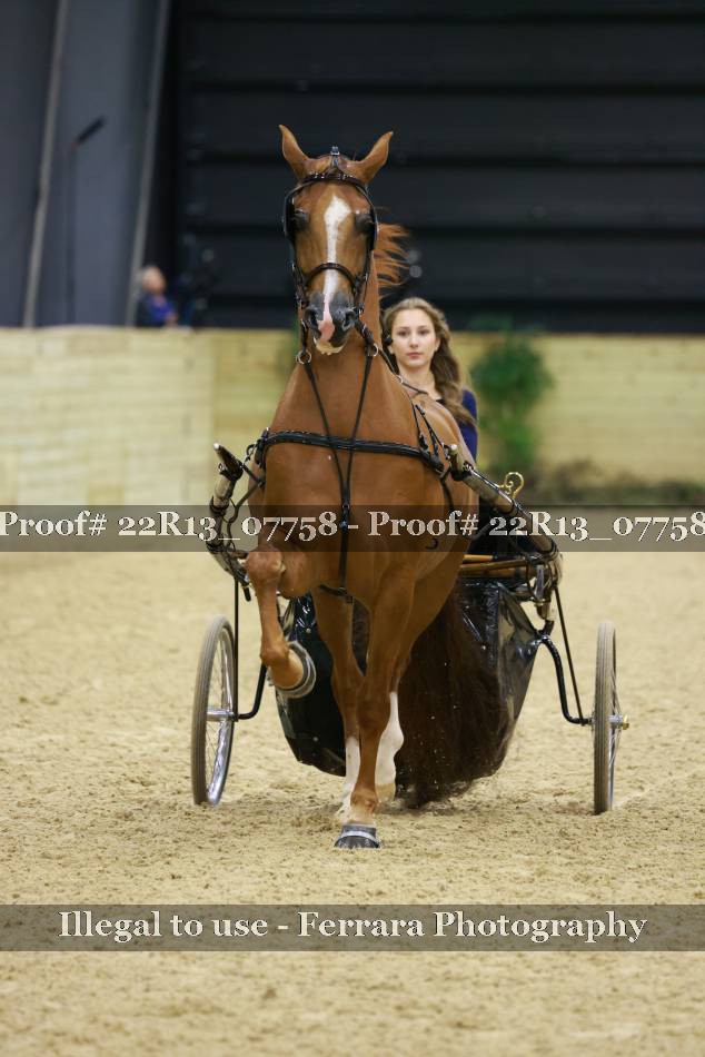 Proof 22R13_07758