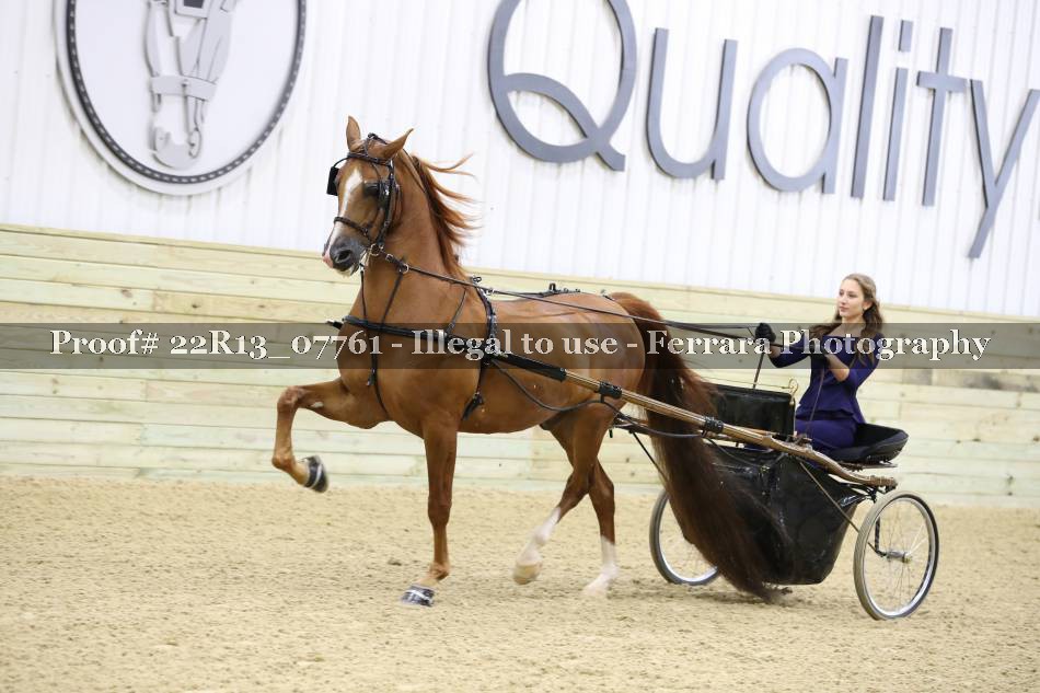 Proof 22R13_07761
