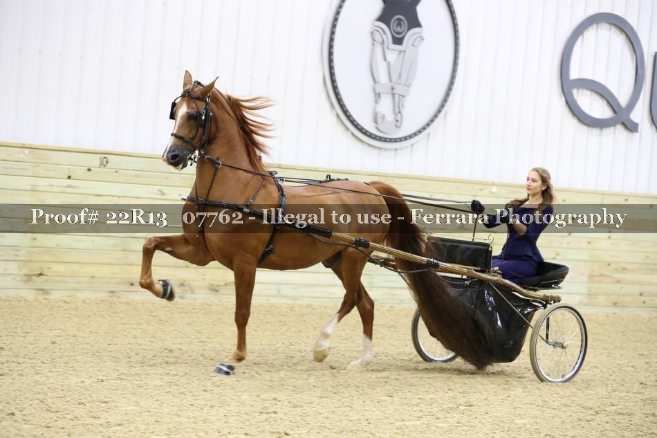Proof 22R13_07762