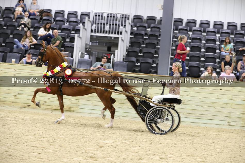 Proof 22R13_07772