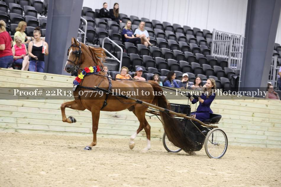 Proof 22R13_07779