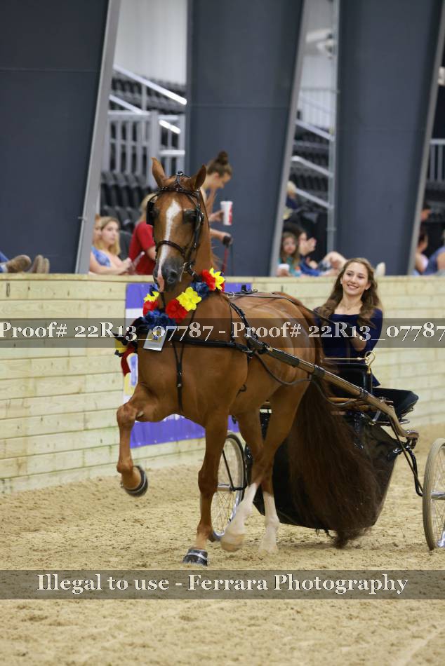 Proof 22R13_07787