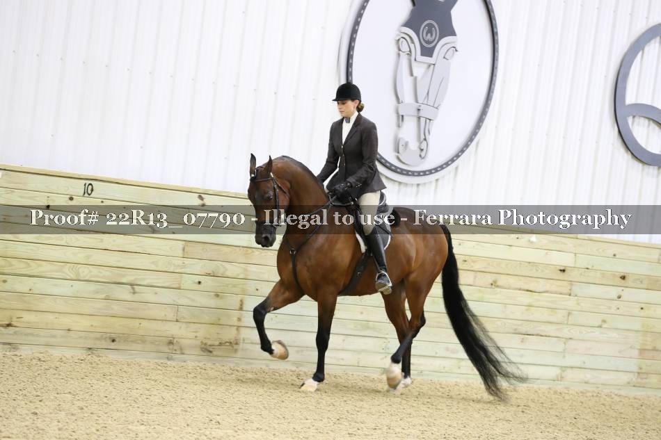 Proof 22R13_07790