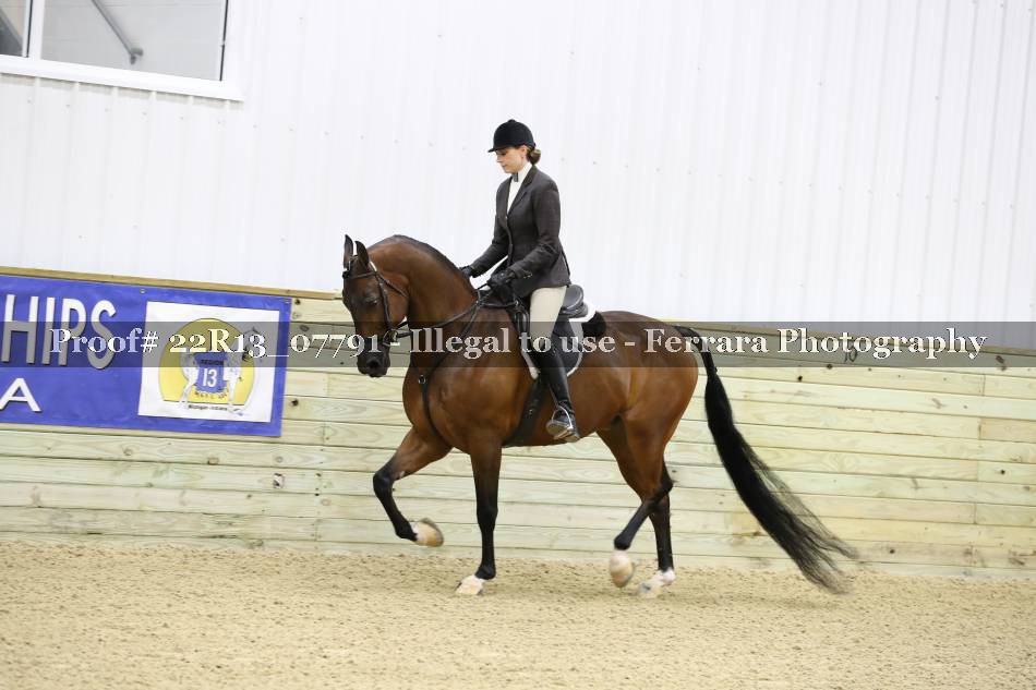 Proof 22R13_07791
