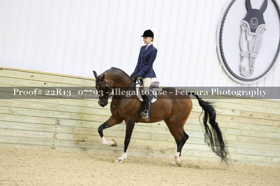 Proof 22R13_07793