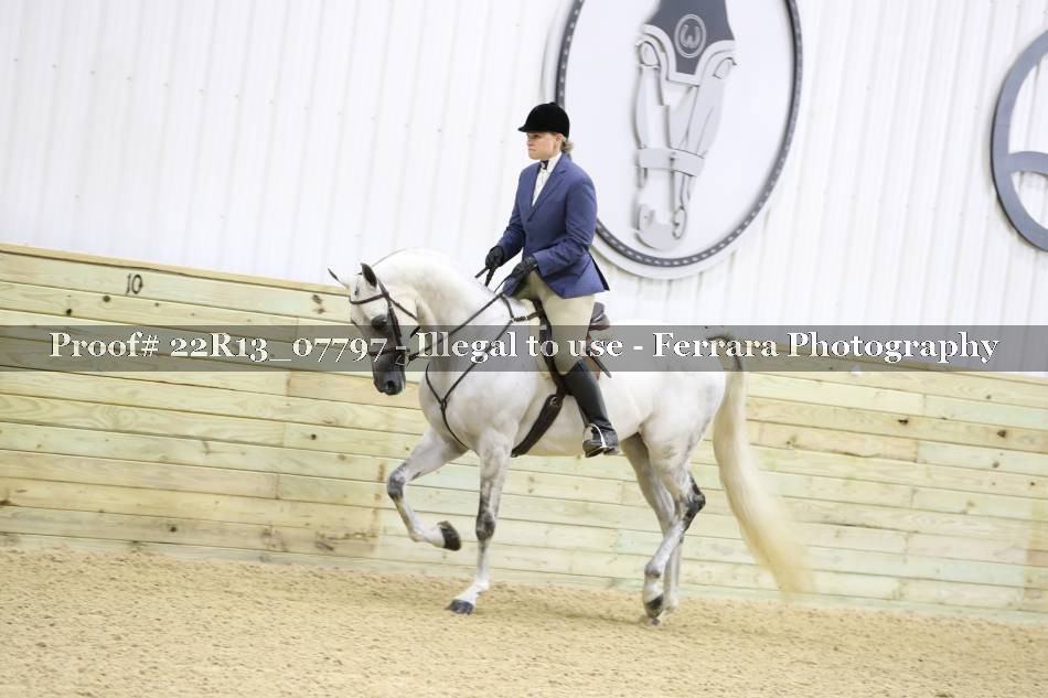 Proof 22R13_07797