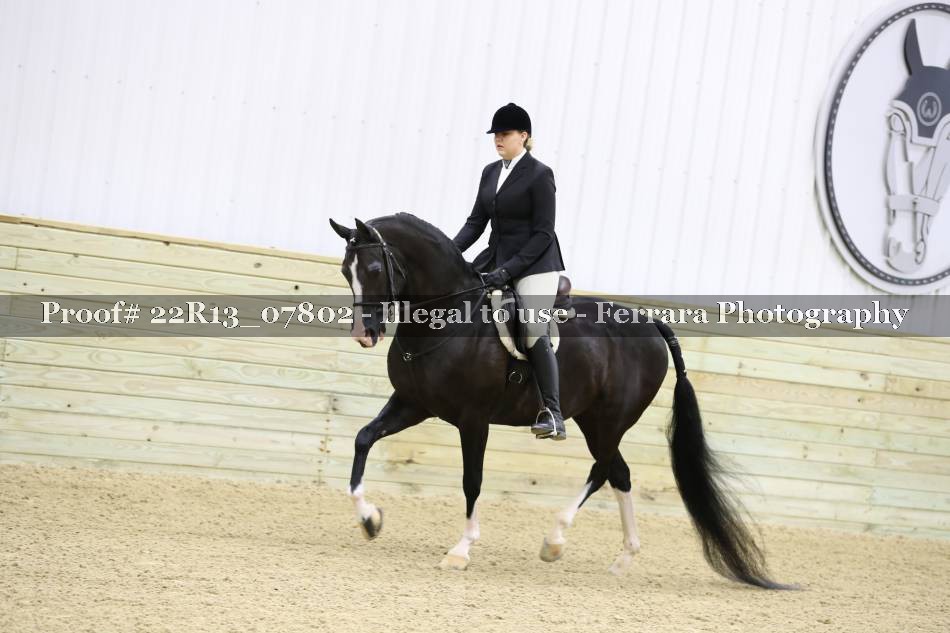 Proof 22R13_07802