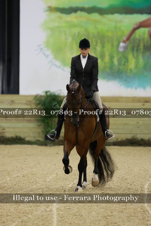 Proof 22R13_07803