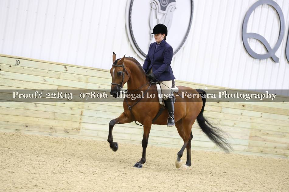 Proof 22R13_07806