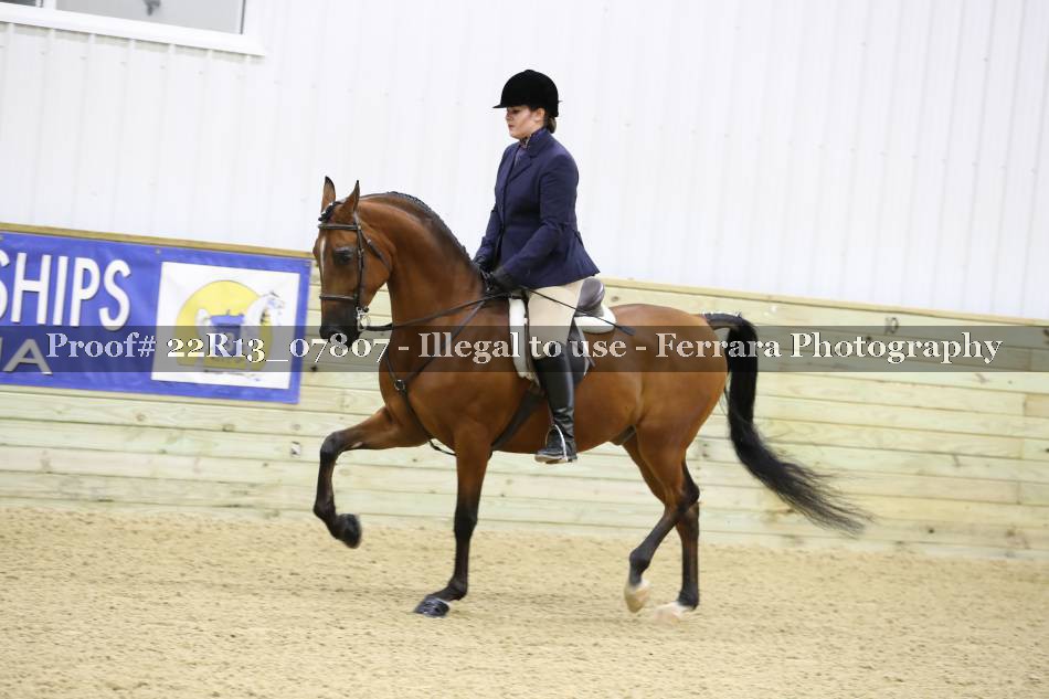 Proof 22R13_07807