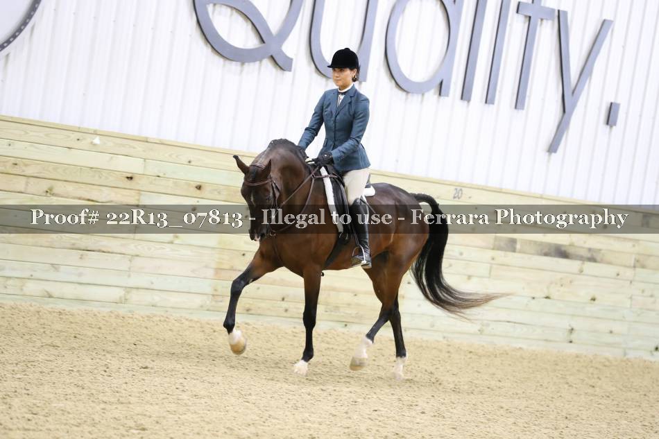 Proof 22R13_07813