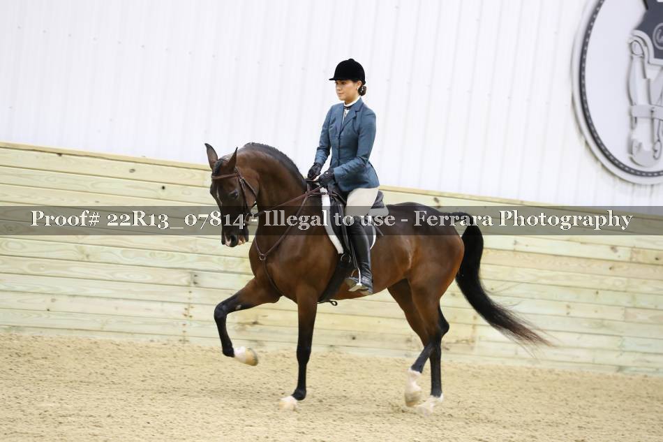 Proof 22R13_07814
