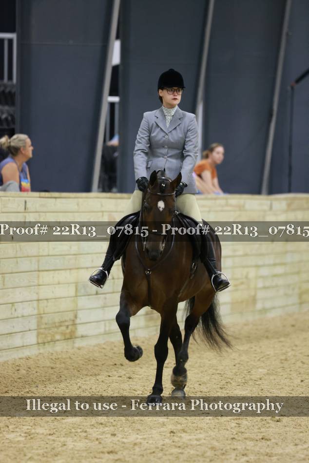 Proof 22R13_07815