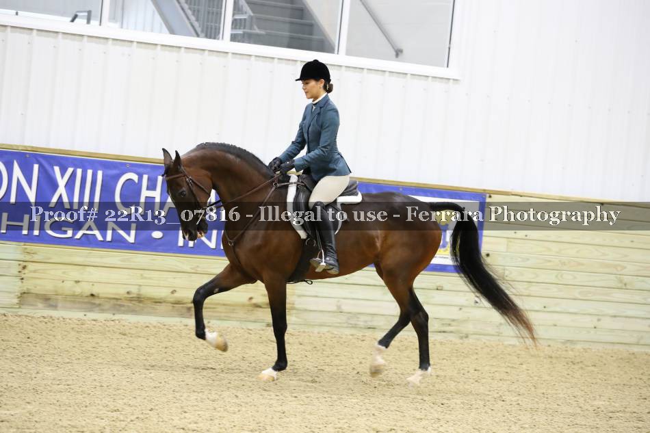 Proof 22R13_07816