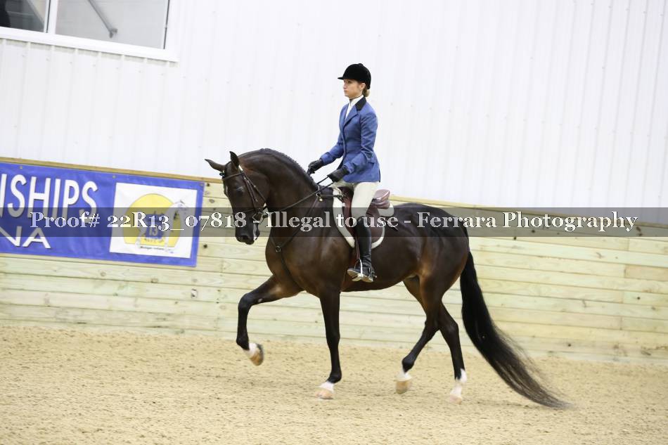 Proof 22R13_07818