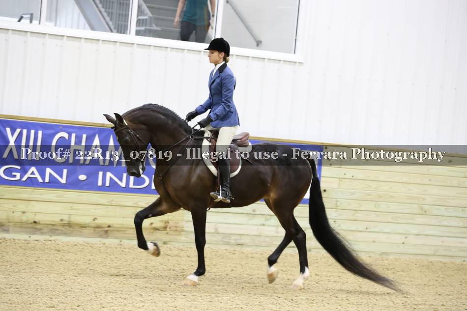 Proof 22R13_07819