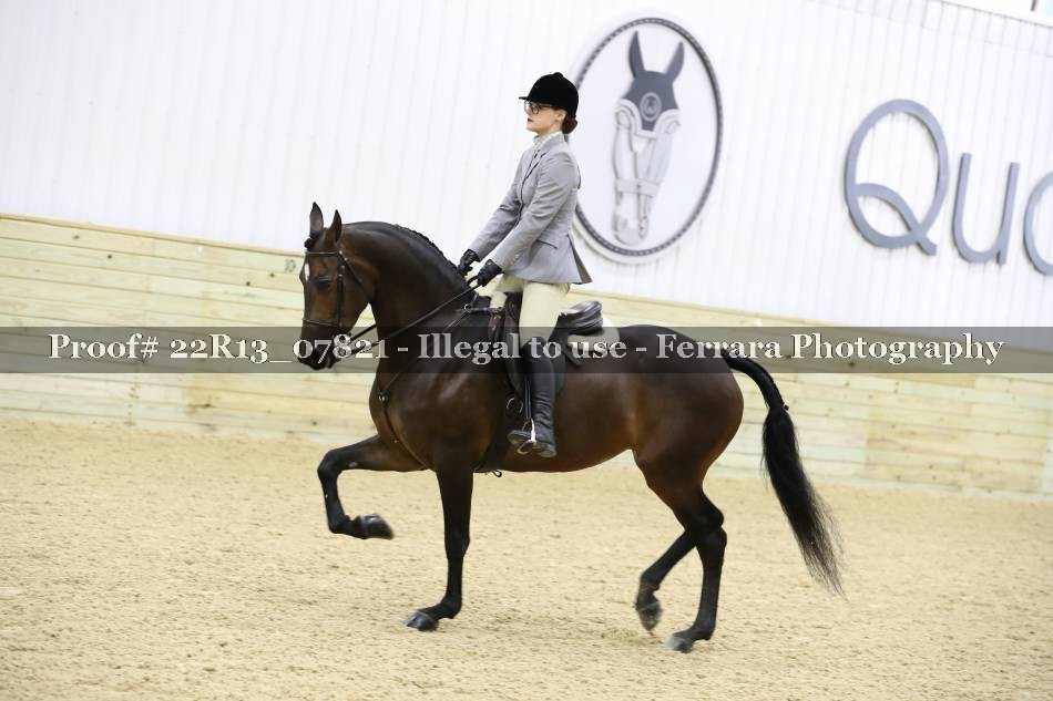 Proof 22R13_07821