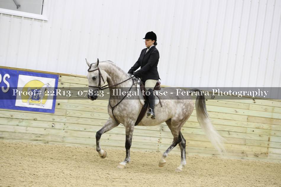 Proof 22R13_07823