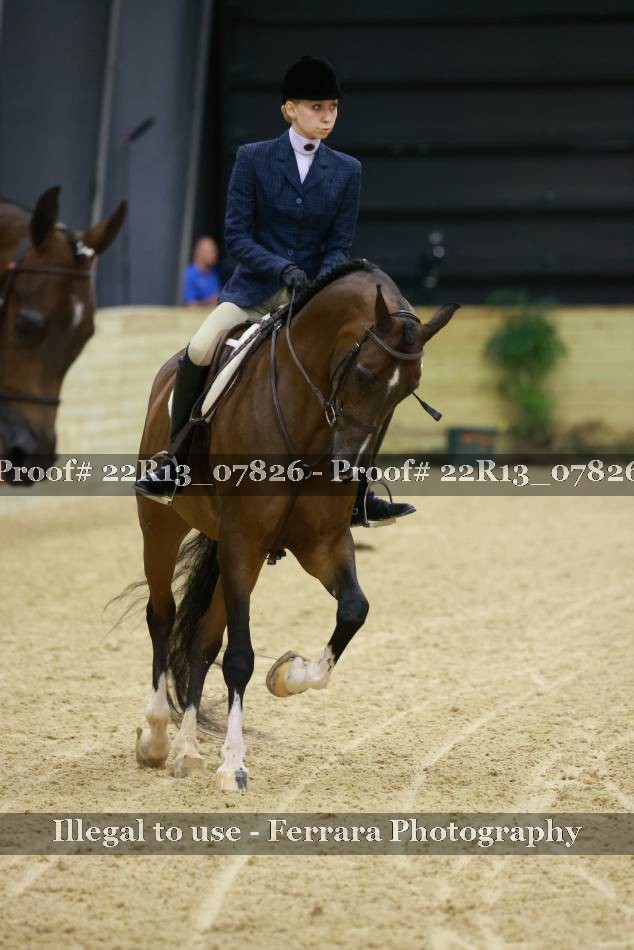 Proof 22R13_07826
