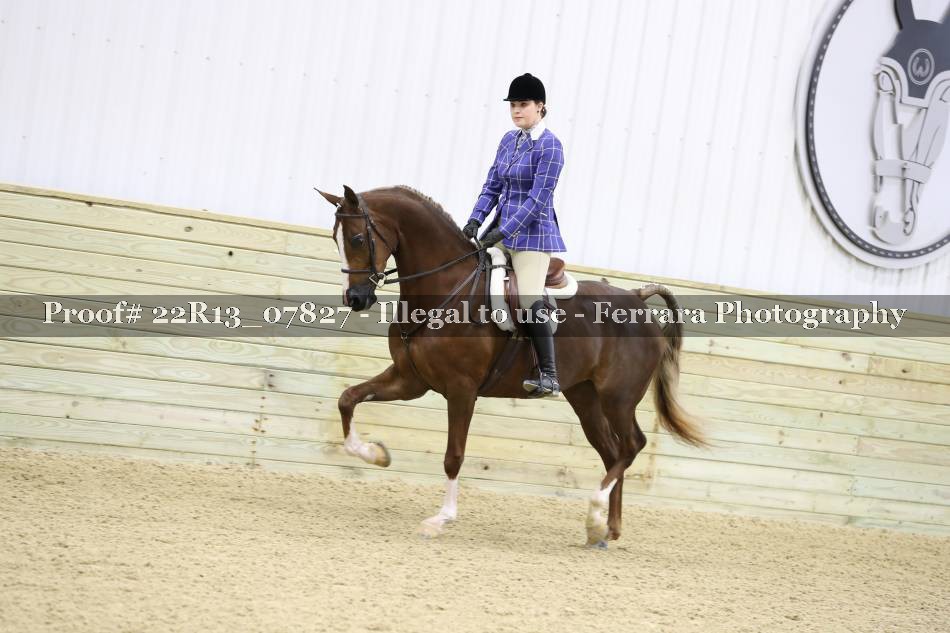 Proof 22R13_07827