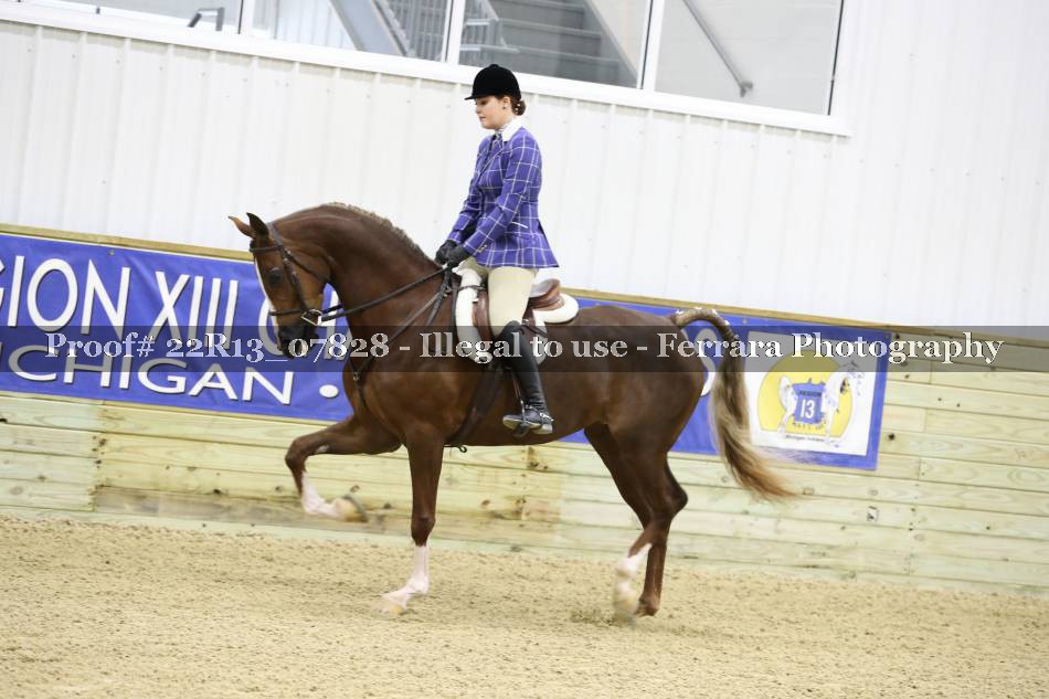 Proof 22R13_07828