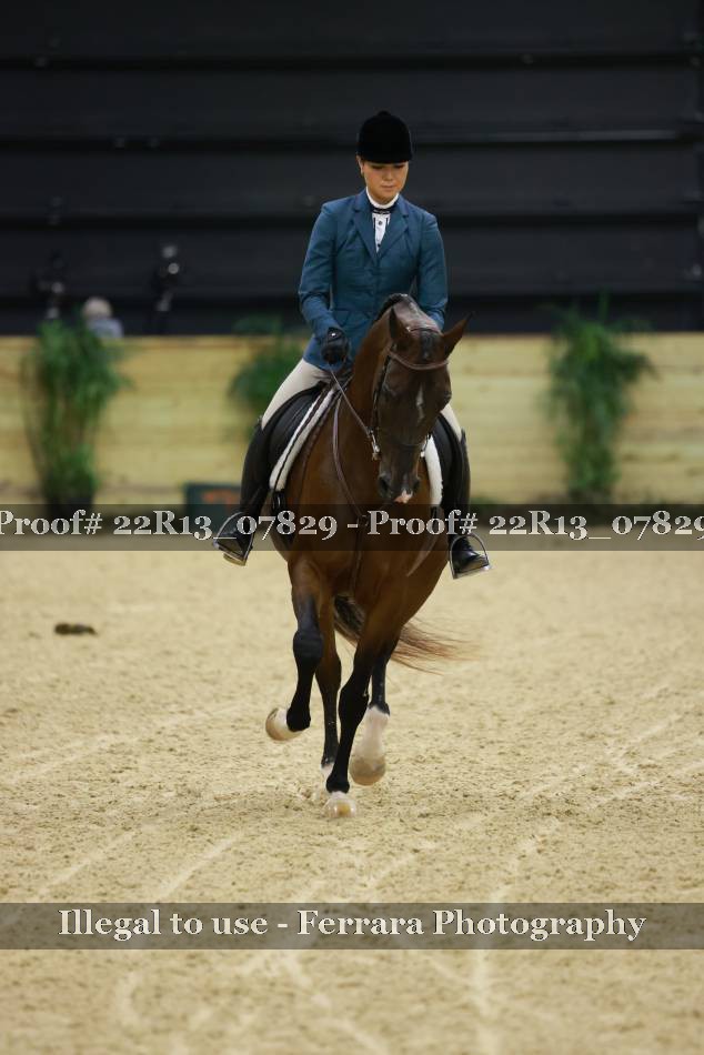 Proof 22R13_07829
