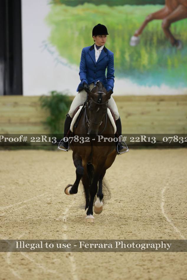 Proof 22R13_07832