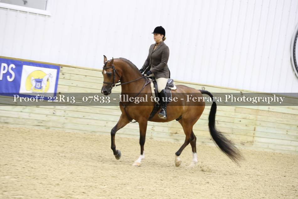 Proof 22R13_07833